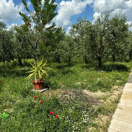 Torre Di Viepri 3* Serre Di Rapolano